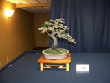 Annual Show 2011 - 11 2011
